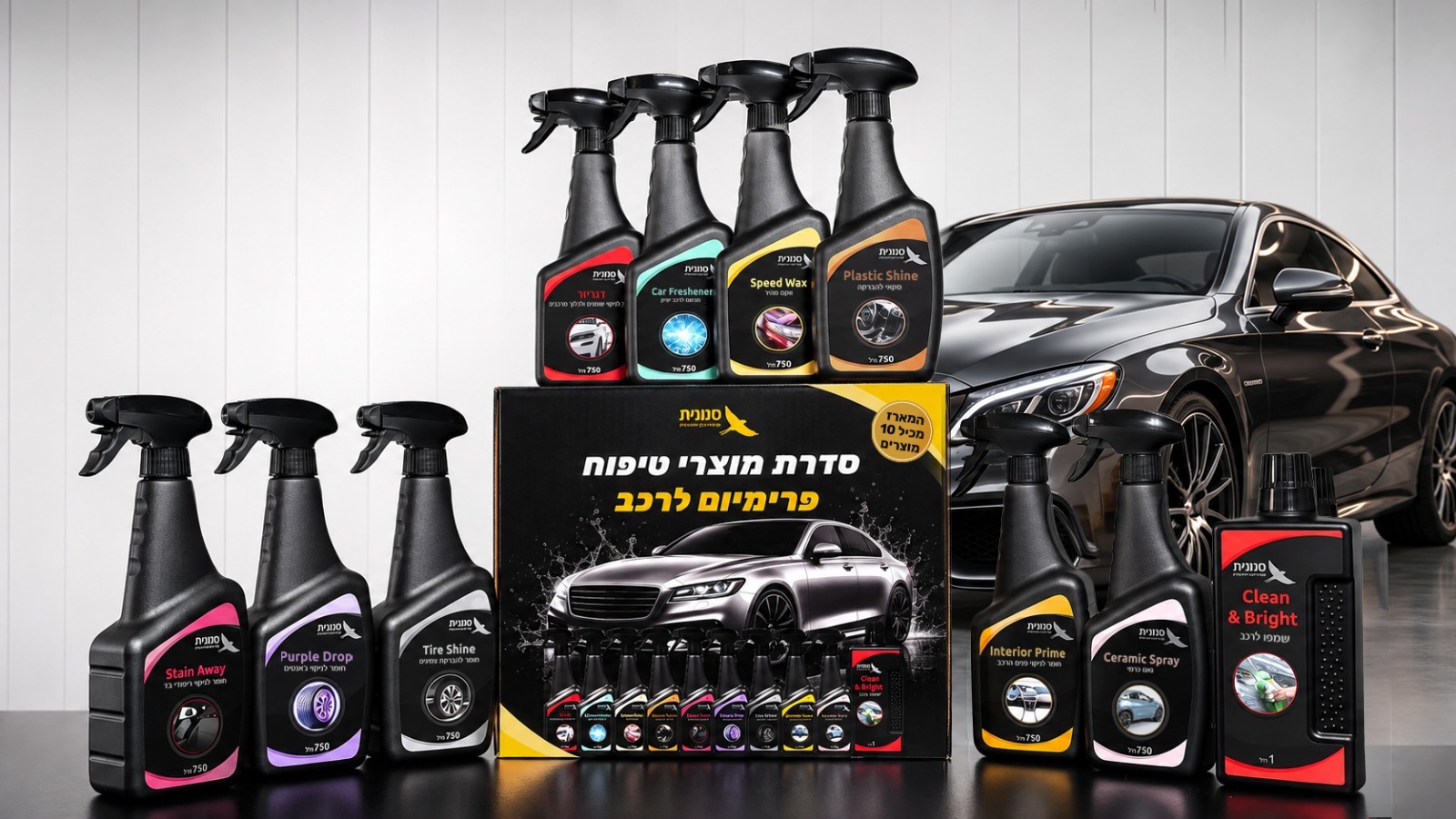 ניקוי רכב מקצועי